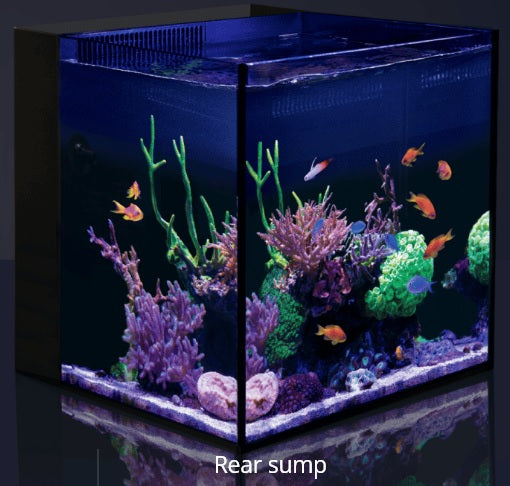 Red Sea Desktop Aquarium Cube w/ Stand (Choose color) + FREE SAND
